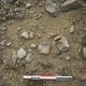Plesiosaur skeleton vertebrae. Image: Dr. Steve Salisbury/ The University of Queensland